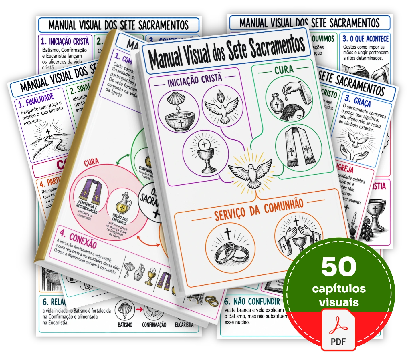 50 capítulos visuais para reconhecer os sinais dos sete sacramentos e compreender cada celebração.